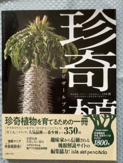 珍奇植物 ビザールプランツと生きる 塊根植物 サボテン 食虫植物など4 種の中古 未使用品を探そう メルカリ 珍奇植物 ビザールプランツと生きる 塊根植物 サボテン 食虫植物など4 種の中古 未使用品を探そう メルカリ