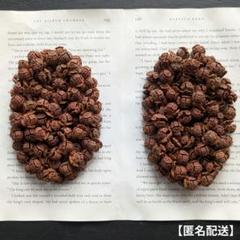 【匿名配送】木の実「ひのき」の実 200個 / ナチュラルのサムネイル