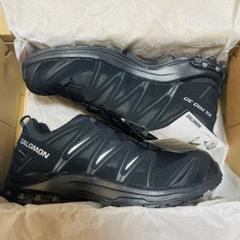 Salomon XA PRO 3D GORE-TEX 28cm