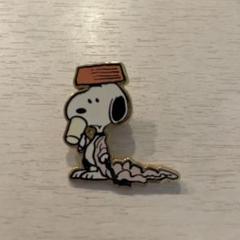 PEANUTS STARBUCKS スヌーピー ピンバッジ 2個セット スタバ