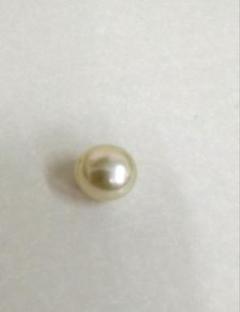 白蝶ルース　グリーン系