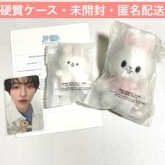 StrayKids ペンミブランケットリノリービットファンミ