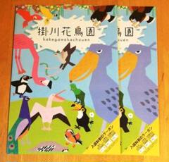 2025年最新】掛川花鳥園の人気アイテム - メルカリ