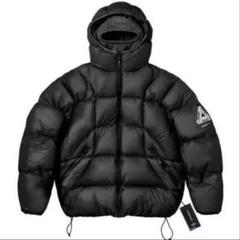 PALACE Oakley Puffa ダウンメルカリ最安値 レアS PALACE x Oakley Puffa パレス オークリー ダウンジャケット