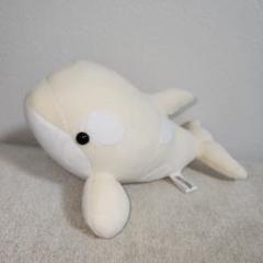 名古屋港水族館　シャチ　白　ぬいぐるみ　ぬいぐるみくじ　特等　アルビノ