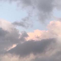 nshgt様専用