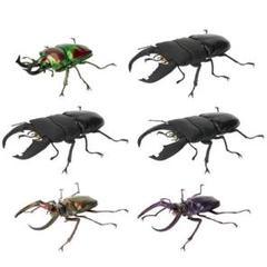 6個 いきもの大図鑑 くわがた10 昆虫 クワガタ フィギュア