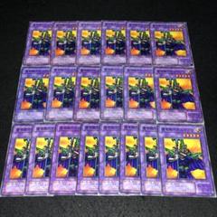 【PSA10】遊戯王　魔導騎士ギルティア　VOLUME6 Amazon.co.jp: 遊戯王カード 魔導騎士ギルティア TP05-JP008N