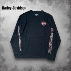 00s HarleyDavidson 刺繍 ハーレーTシャツ バイク ロンT