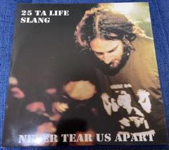 25 TA LIFE SLANG スプリット　パンク　ハードコア　nyhc