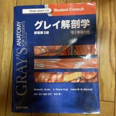 グレイ解剖学