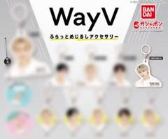 wayv ガチャガチャ全種 WayV ふらっとめじるしアクセサリー｜ガシャポンオフィシャルサイト