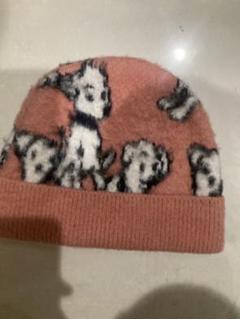 CELINE ニット帽 セリーヌ わんちゃん エイミードリアン コラボ 犬柄 CELINE ニット帽 セリーヌ わんちゃん エイミードリアン コラボ