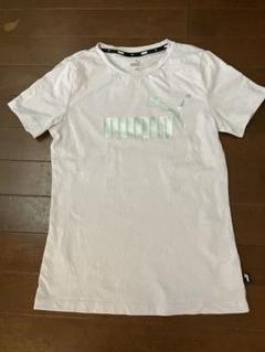 PUMA キッズ160