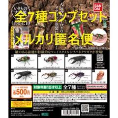 いきもの大図鑑 くわがた10 | ナムコパークス オンラインストア