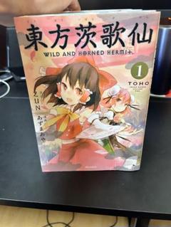 東方茨歌仙 1～10巻 全巻セット 10巻特装版 Amazon.co.jp: 東方茨歌仙 ~Wild and Horned Hermit. (10) 特装