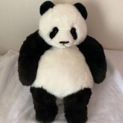 抱っこシャンシャン　大型ぬいぐるみ Amazon.co.jp: 抱っこシャンシャン 3rd anniv ぬいぐるみ