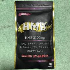 HMB サプリ 極ボディ 3袋 HMB極ボディ 新品 未開封 極 ボディ 筋トレ HMB極ボディ30日分500円！筋トレ×燃焼×美容系トリプル配合