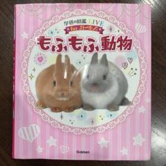 もふもふ動物 Gakken