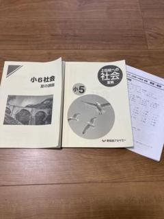 早稲田アカデミー小5テキスト セット◆W-basic早稲アカ5年+講習会テキスト 2025年最新】早稲田アカデミー 小5の人気アイテム - メルカリ