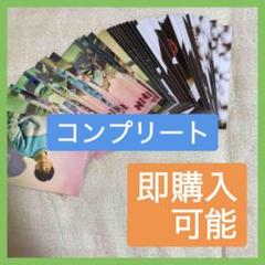 沢村玲 REI EBiSSH ワンエン 生誕 生写真 コンプリート セット EBiSSH 生写真 #001 ONE N' ONLY 沢村玲 生誕 - メルカリ