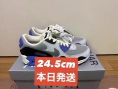 Patta x Nike Air Max 90 Particle Grey
