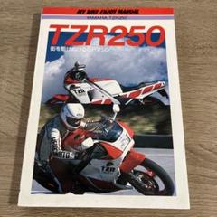 街を駆けぬけるGPマシンヤマハTZR250 (マイバイクエンジョイマニュアル)