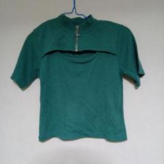 SPRAY PREMIUM グリーン Tシャツ 半袖