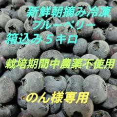 栽培期間中、農薬、不使用、ブルーベリー3キログラム、朝摘み午後発送 栽培期間中、農薬、不使用、ブルーベリー3キログラム、朝摘み午後
