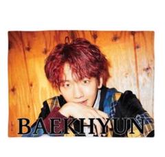 EXO - ベッキョンブランケット EXO - EXO ベク ベッキョン ブランケットの通販 by ゆん's shop