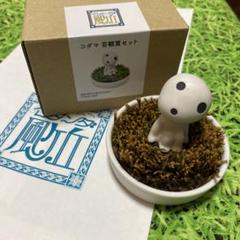 ジブリパーク　ギフトセット　タオル2枚　コダマ苔鑑賞セット　キーホルダー2点 ジブリパーク ギフトセット タオル2枚 コダマ苔鑑賞セット
