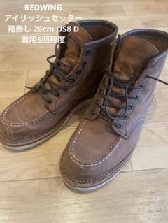 定番ではないアイリッシュセッター！！レッドウイングの1907