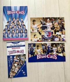 PFU BlueCats  細沼綾　サイン入り　ユニフォーム　　サイズ:4XL PFU BlueCats 細沼綾 サイン入り ユニフォーム サイズ:4XL