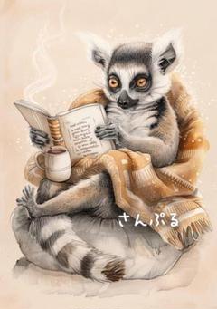 980 オリジナル アニマルステッカー 動物 ワオキツネザルの読書 4枚