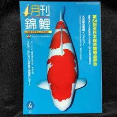 鱗光 月刊錦鯉 日鱗 52冊セット まとめ売り 錦鯉 - メルカリ