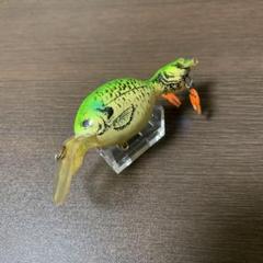 ギドス ダブルイメージのサムネイル