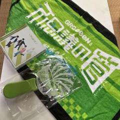 福袋 2025年最新】gre4nboyz メルカリ - ペンライトの人気アイテム ミュージシャン