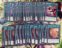 遊戯王 OCG 魔獣の懐柔、ピリレイスの地図 まとめ売り