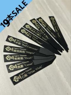 SALE【10本】プランツタグ　植物ラベルのサムネイル