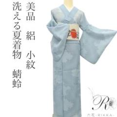 美品 洗える夏着物 蜻蛉 勝ち虫 絽 小紋 着物 A3093 - メルカリ