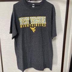 古着　Tシャツ Lサイズ　アンビル　ダークグレー　ロゴT