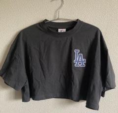 しまむら　Tシャツ　レディース