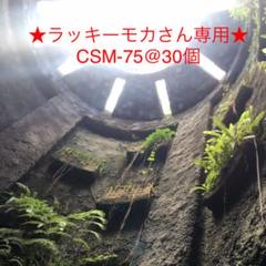 ラッキーモカさん専用★CSM-75 2.5号スリット鉢 30個★送料込