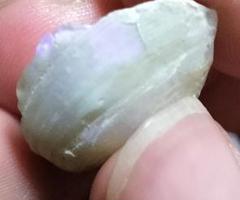 オーストラリア産 未研磨オパール化貝化石 オパライズドシェル 7カラット オーストラリア産 未研磨オパール化貝化石 オパライズドシェル 7