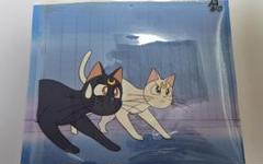 セーラームーン　ルナ・アルテミス 背景・原画付きセル画 セーラームーン ルナ・アルテミス 背景・原画付きセル画 - メルカリ