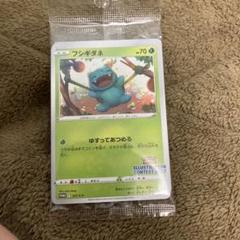 2025年最新】ポケモンカード フシギダネ 337/S-P プロモ