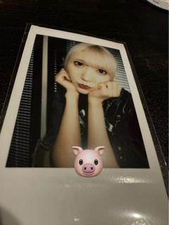 ★非売品★【サイン入り】HALLO PIGGS【クラファン限定商品】 缶バッジ / 安全ピン32mm – グラフィックラボ《缶バッジ研究所》