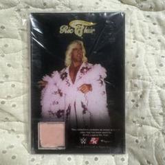 『WWE®2K19』Wooooo!/リックフレアー/ローブ入り記念プレート WWE®2K19』Wooooo!/リックフレアー/ローブ入り記念プレート