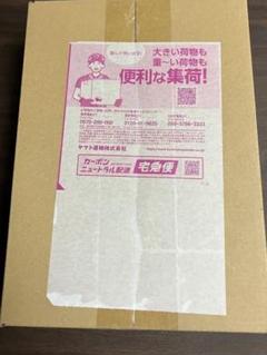ハイクラスパックテラスタルフェス