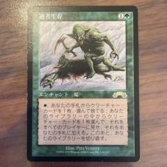MtG 適者生存【EXO】英語 プレイド